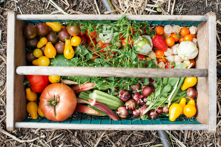 Home-grown produce