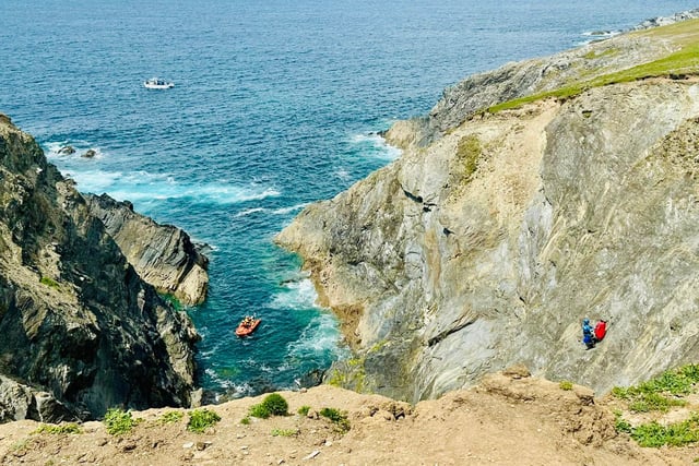 Dog rescued after falling down cliff
