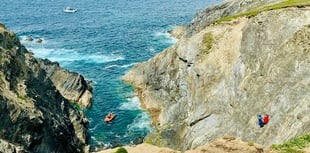 Dog rescued after falling down cliff