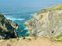 Dog rescued after falling down cliff