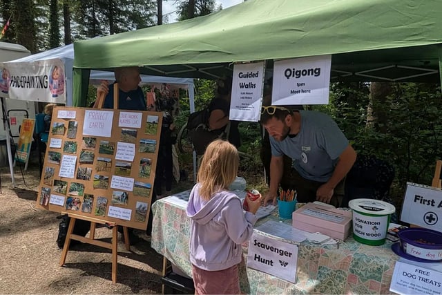 Summer Fair to showcase High Wood’s woodland revival project