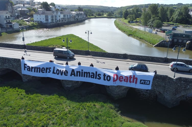 PETA unveil protest banner aimed at Royal Cornwall Show attendees (Picture: PETA)