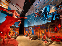 Story of Emily museum hailed among best new tourism businesses