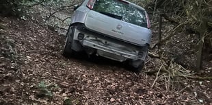Child narrowly missed as car damages St Austell cricket grounds