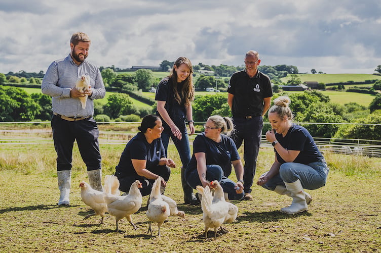 St Ewe Free Range Eggs has been ranked in the latest Sunday Times 100 list.