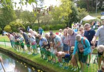 Gardens all set for summertime fun
