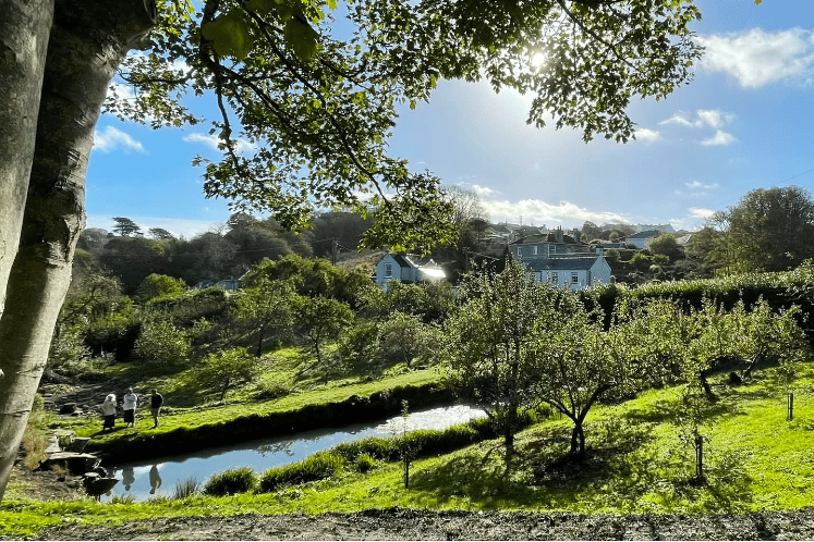 One of the orchards at Lanherne Convent