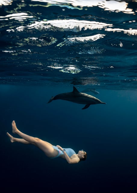 Dolphin and freediver