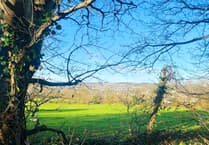 Town council objects strongly to big housing estate planned for St Austell