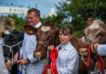 Cornwall's biggest one-day agricultural event returns