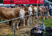 Camborne Show's biggest event yet