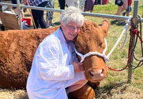 Stithians Show: Record entries and community spirit