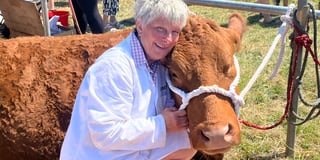 Stithians Show: Record entries and community spirit