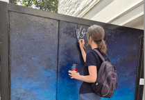Vandals called on to respect the art after murals tagged