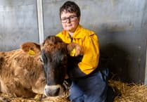 Teen launches dairy business with one cow