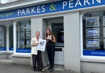 Liskeard high street goes wild with free summer safari