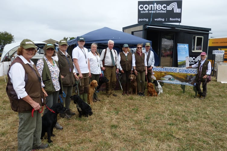 Never work with children or animals they say - well these dogs were the exception. Full of character whilst obedient, they lined up perfectly for a photograph. Alice Wise of Woodabudge Gundogs, based near Launceston, had the whole team showing what they had learned during training. Alice is no stranger to a show ring, being a member of the UK Ladies International Gundogs Team, but her trainees were just that - still in training. Regardless they put on a wonderful performance, showing just how magnificent a gundog can be if trained properly.