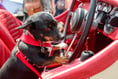 Classic car show draws city crowds