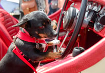 Classic car show draws city crowds