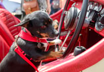 Classic car show draws crowds with 360 vintage vehicles
