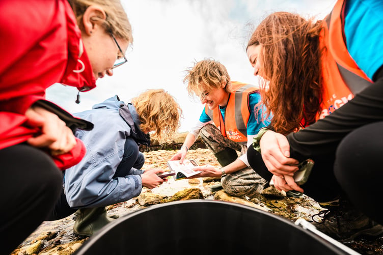 Community BioBlitz Festival 2026.