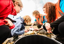 Community BioBlitz Festival to explore Cornwall’s coastal wildlife