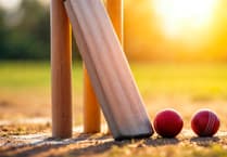 Cricket Widows set for special day at Menheniot-Looe