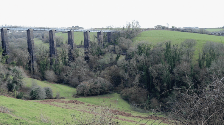 The eastern field parcel with sloping topography, grass/scrub land cover and the
influence of the Liskeard Viaduct