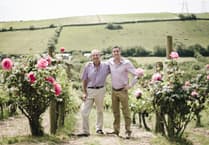 Heatwave brings new challenges for Camel Valley