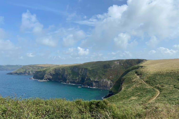 Part of the breath-taking coastline on the Pentire promontory in North Cornwall. (Picture: Andrew Townsend)