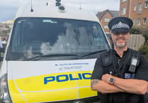 Crime increased slightly throughout summer season