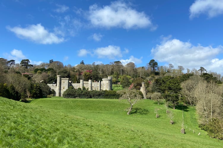 Plants now familiar to us were bred on the Caerhays estate in Cornwall. (Picture: Andrew Townsend)