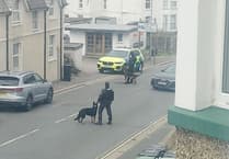Armed police response team swoop on Newquay