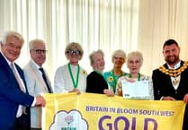 Town improvements recognised with raft of awards