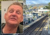 Police release image after man sexually assaults woman on late-night train