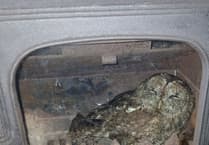 Chimney sweep comes to the rescue of owl trapped inside stove