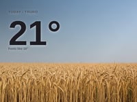 Truro: sunny day, high of 21°C