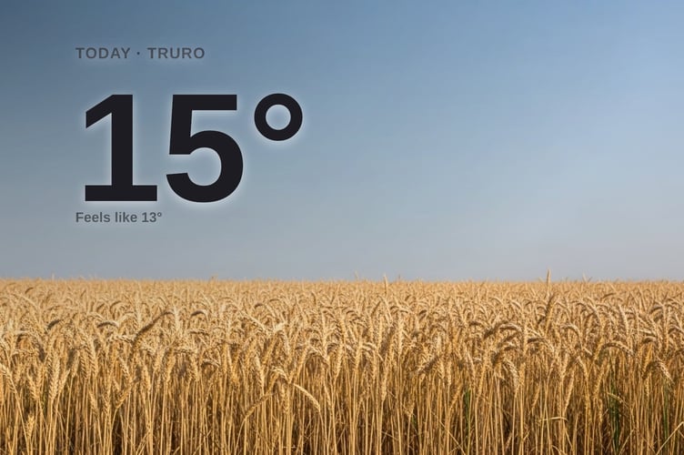 Truro weather: sunny Friday with little chance of rain and a high of 15°C